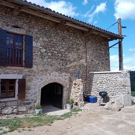 Les De Solol Felines