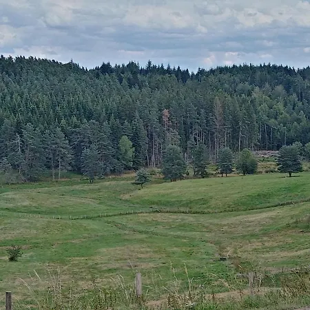 Les De Solol Felines