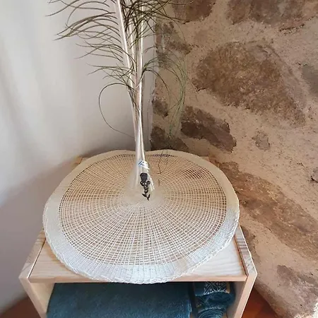 Bed & Breakfast Les De Solol Felines